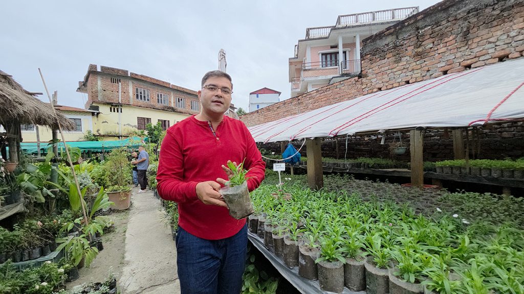 फुल र बिरुवाबाट सफल उद्यमी : केदार अधिकारी